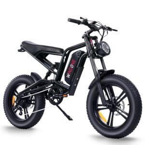 E2 Electric Bike for Adults, Full Suspension, 48V13Ah Removable Battery, Up to 28MPH & 46.6 Miles (PAS), 750W Ebike with All-Terrain 4.0" Fat Tires, Cruise Control, UL...