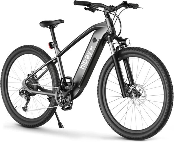 Hiboy P7 Electric Bike Review - High-Performance 800W Motor Test Hiboy P7 Electric Bike Review - High-Performance 800W Motor Test