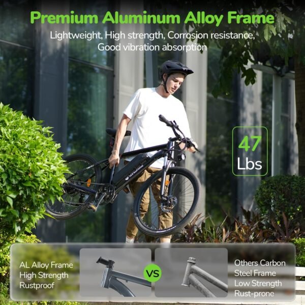 isinwheel M10 Electric Bike Classic Model Review for Adults