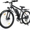 isinwheel M10 Electric Bike Classic Model Review for Adults