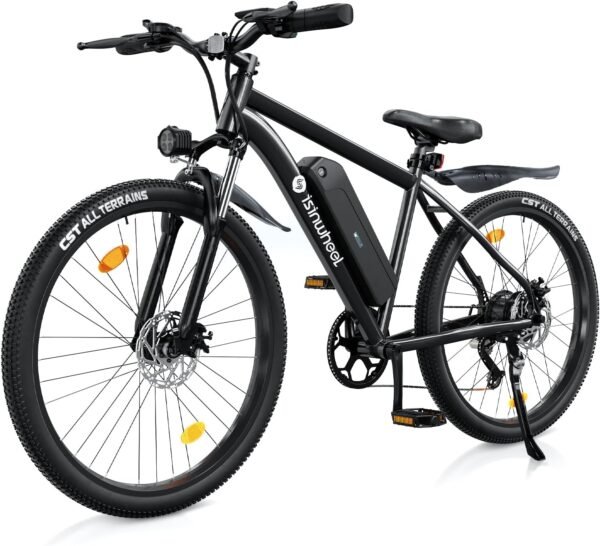 isinwheel M10 Electric Bike Classic Model Review for Adults