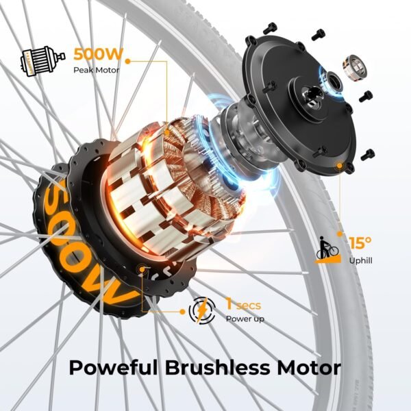 Jasion EB5 Electric Bike Review - Model EB5 Features Explained