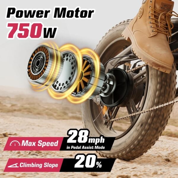 WINDONE E2 Electric Bike Review - Powerful 750W All-Terrain Ride