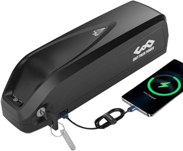 Ebike Battery - 48V Electric Bike Battery for 1000W/750W / 500W Motor Bicycle - Lithium Battery Pack - Ebik e Conversion Kit Battery - Cruiser Battery (48V 13AH UPP)