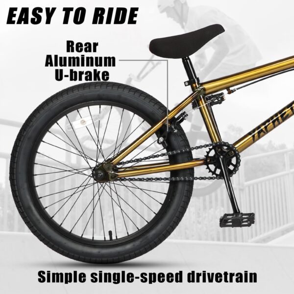 Freestyle BMX Bike Review for Teen and Adult Riders by Cubsala