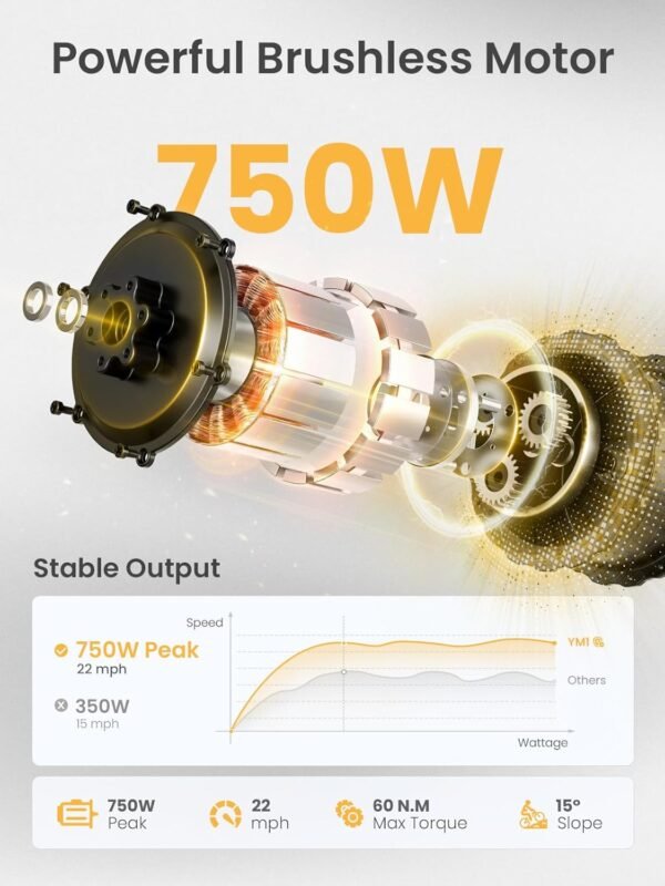 Heybike Electric Bike Review Unleashes 750W Power and 40-Mile Range