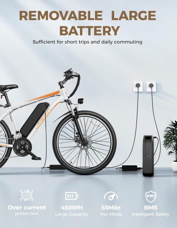 Jasion EBX Electric Bike review: Is this the ultimate adult e-bike?