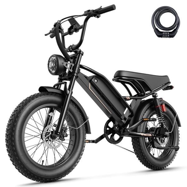 Jasion Electric Bike for Adults YR20 with Peak 2000W Motor, 48V 20AH Battery Electric Bicycle, 20" Fat Tire Dirt Bike with Hydraulic Brake & Cruise Control, Up to 32 MPH & 80...