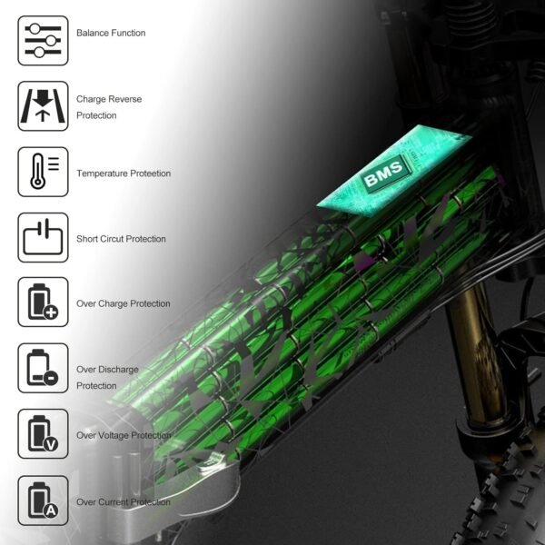 ShunTongDa 48V 10.4Ah Folding Ebike Battery Review for Electric Bikes