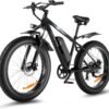 Speedrid Electric Bike Review Discover the Power of 750W Performance and Comfort