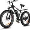 Speedrid Electric Bike Review Unleashes Power and Performance for Adventurous Riders