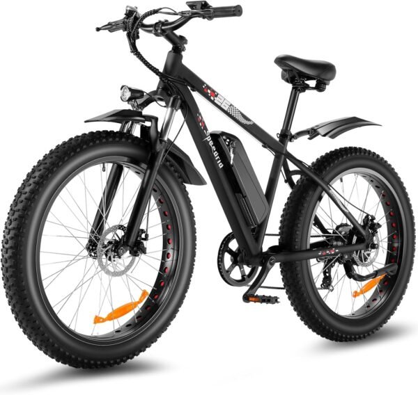 Speedrid Electric Bike Review Unleashes Power and Performance for Adventurous Riders