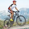 Vivi Electric Bike Review Explore the 780W Power and Comfort Features